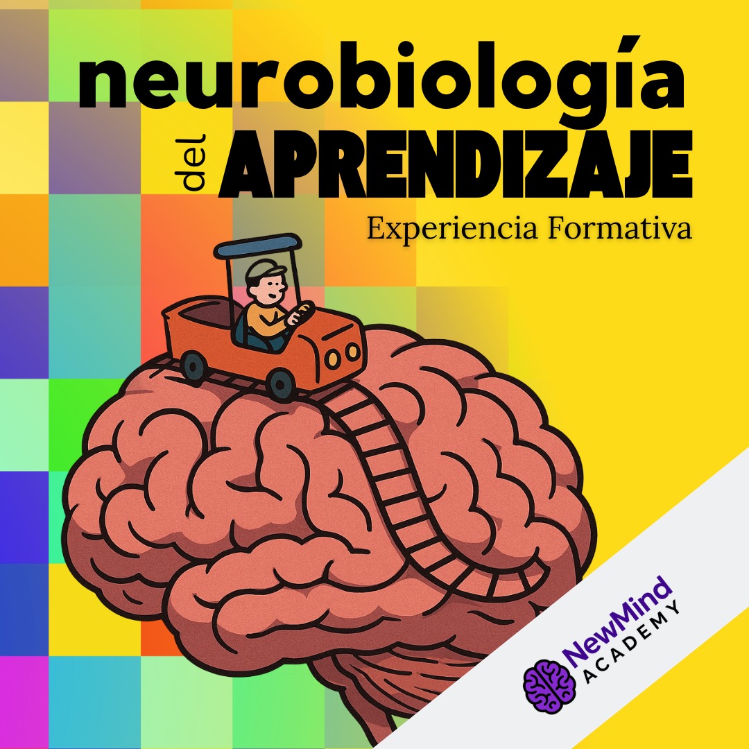 Neurobiología del Aprendizaje